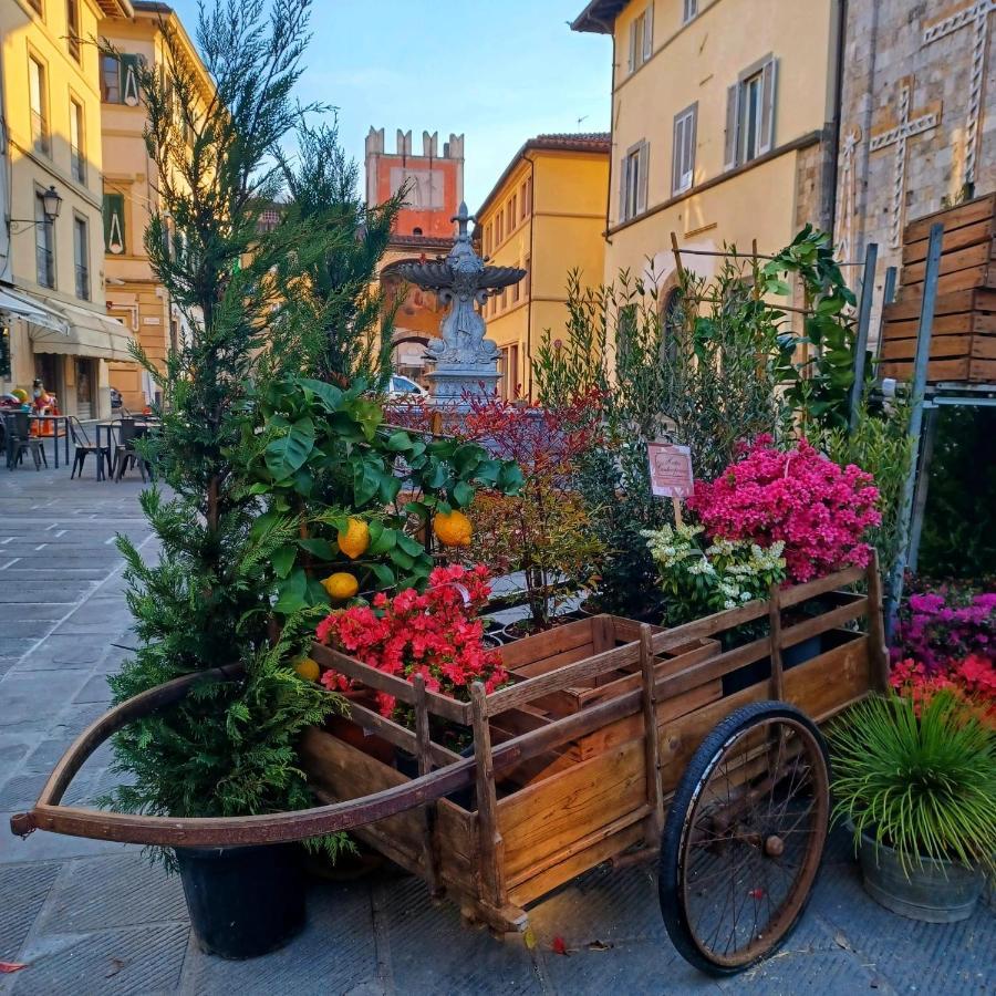 La Casa Di Ciaccia Apartment Camaiore Luaran gambar